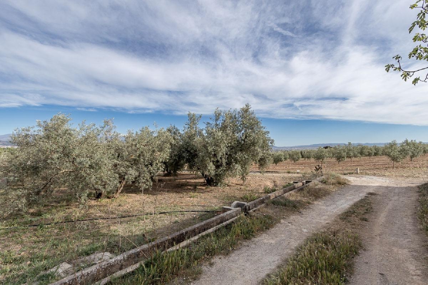 till salu tomt Cortijo Del Aire Vega De Granada 3