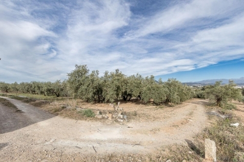 Cortijo Del Aire Vega De Granada tomt foto 6245819