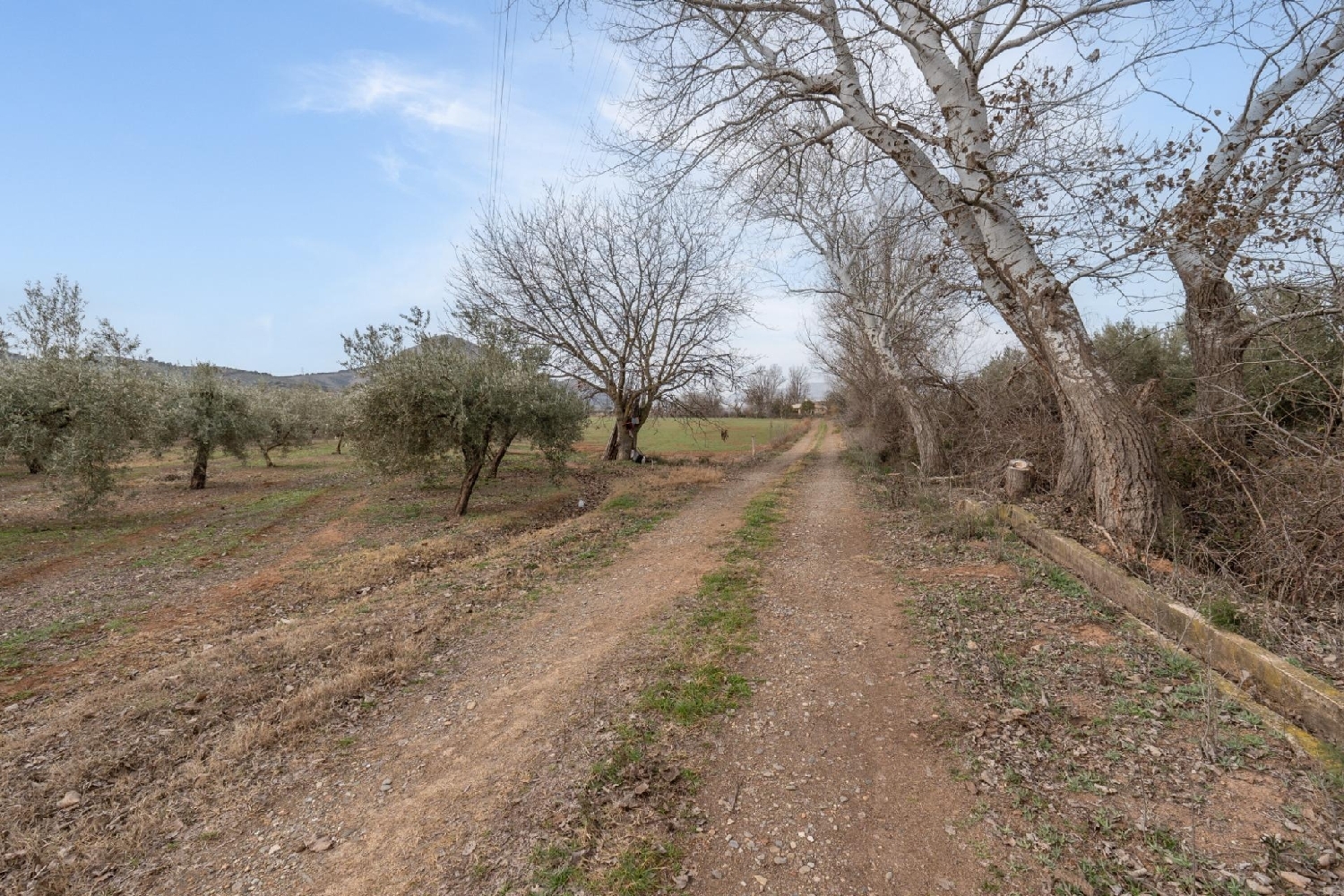  for sale plot Parque De Cubillas Vega De Granada 4
