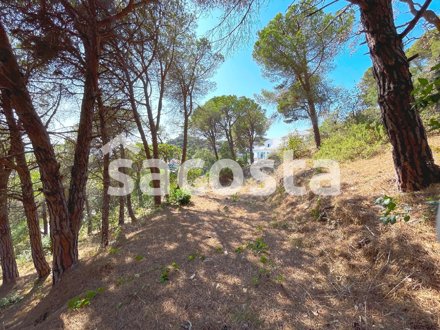  till salu tomt Costa D'en Gallina Selva 3
