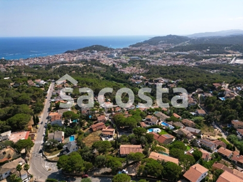 Costa D''en Gallina Selva tomt foto 6259748