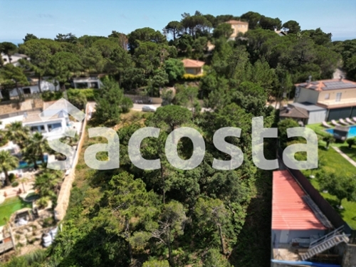 Costa D''en Gallina Selva tomt foto 6259765