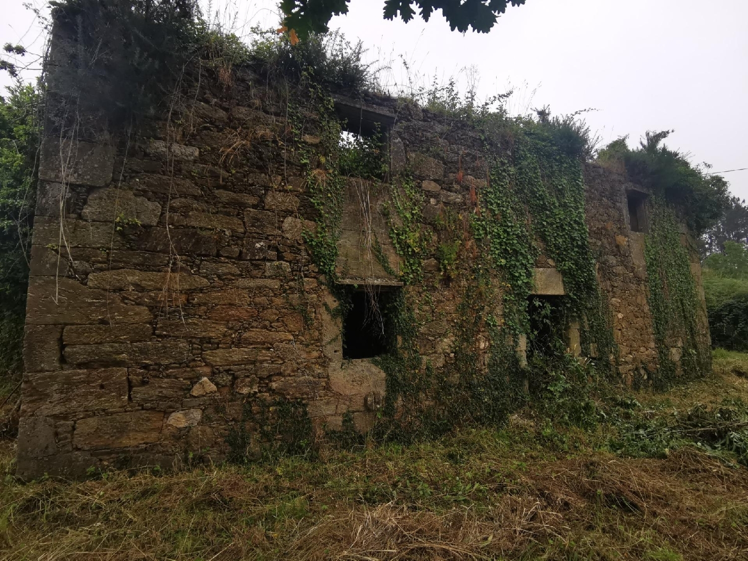  till salu tomt Cotaro Bergantiños 1