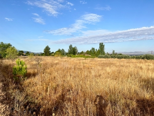 Crespos Arévalo-La Moraña tomt foto 6227705