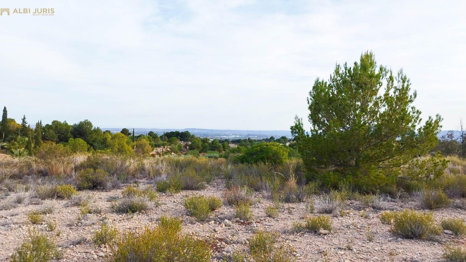  till salu tomt Crevillent Baix Vinalopó 4