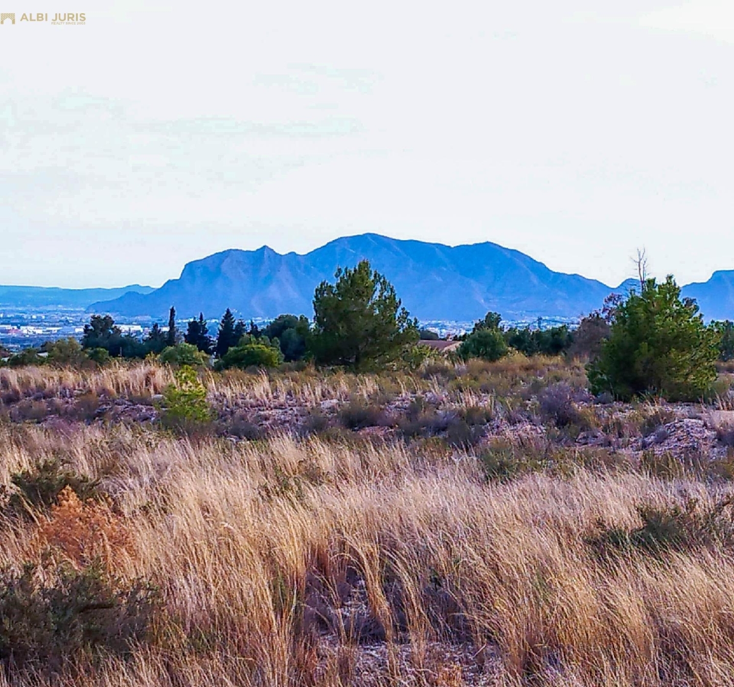  till salu tomt Crevillent Baix Vinalopó 1