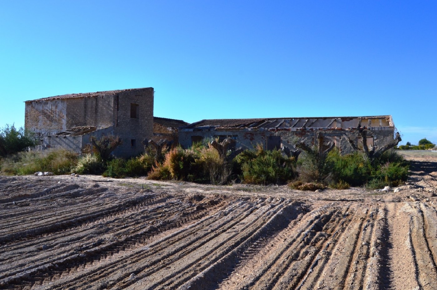 till salu tomt Crevillent Baix Vinalopó 2