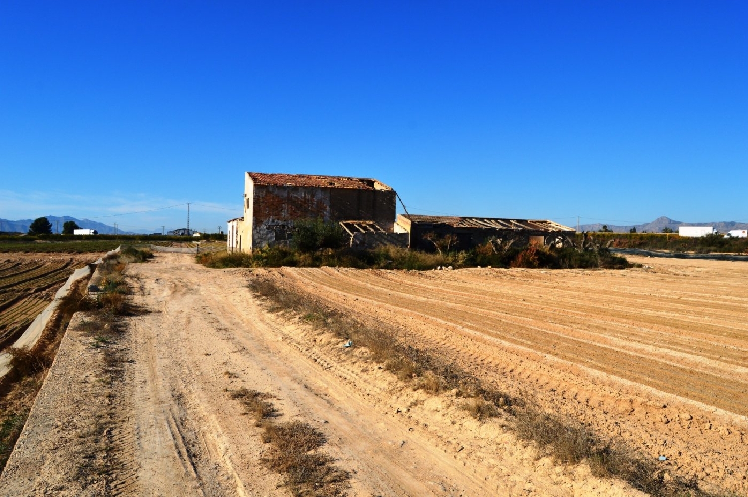  till salu tomt Crevillent Baix Vinalopó 6