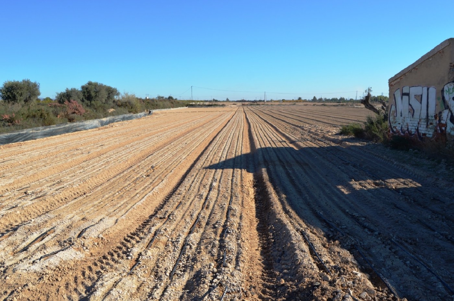till salu tomt Crevillent Baix Vinalopó 3