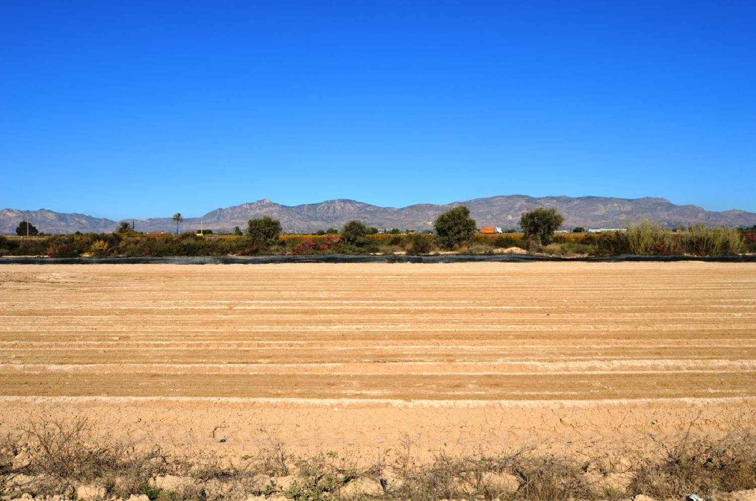  till salu tomt Crevillent Baix Vinalopó 5