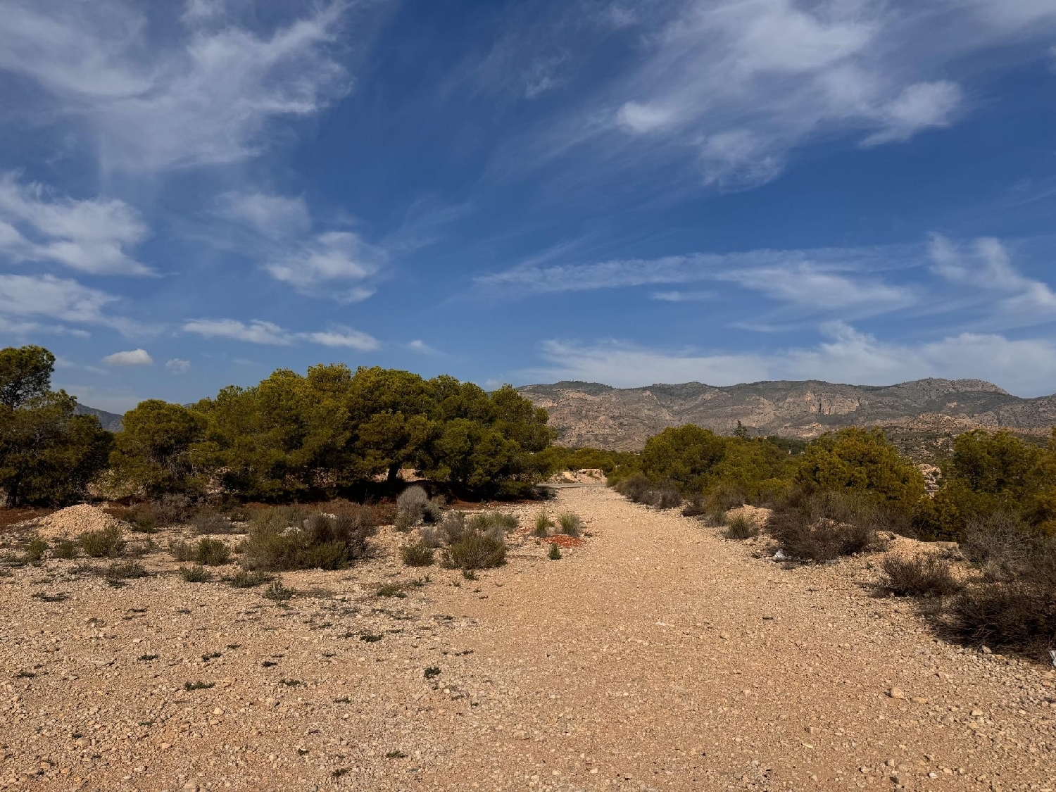 till salu tomt Crevillent Baix Vinalopó 1