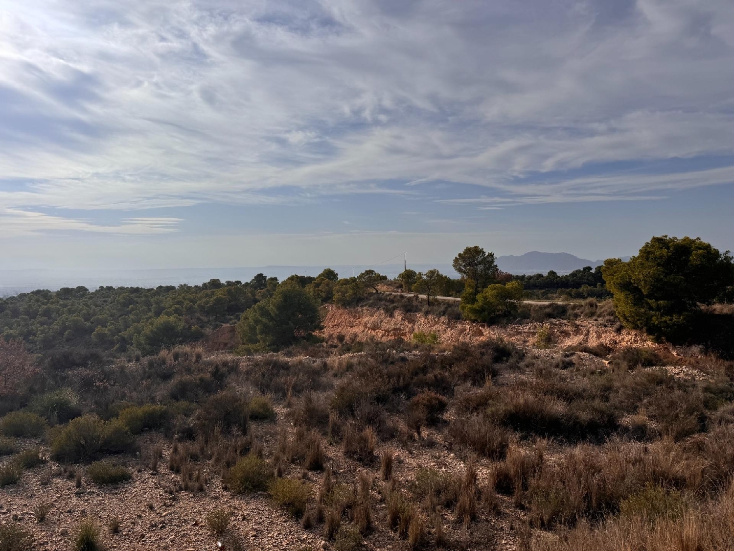 till salu tomt Crevillent Baix Vinalopó 3