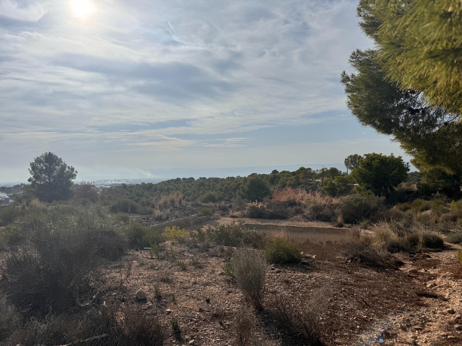  till salu tomt Crevillent Baix Vinalopó 7