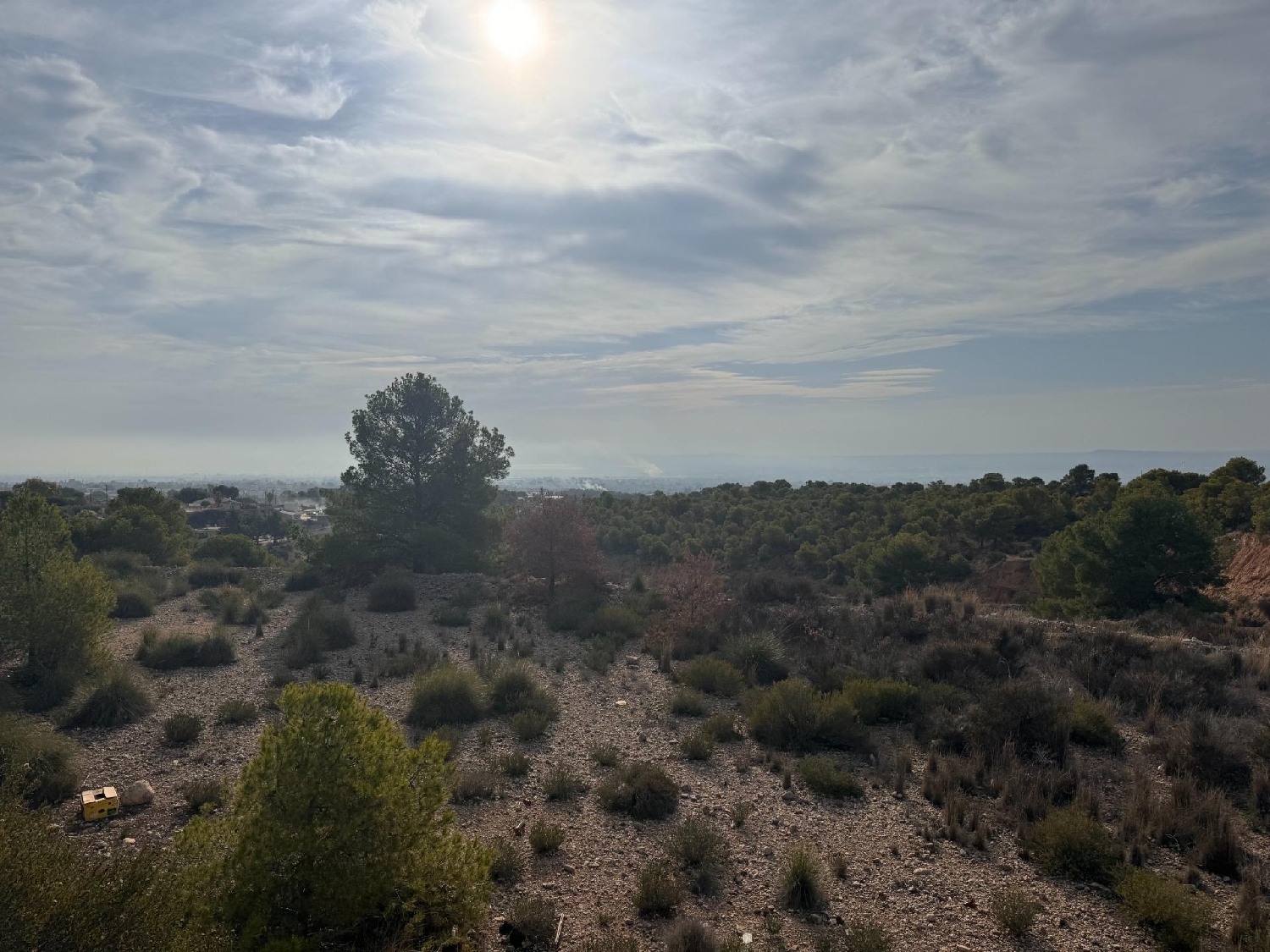 till salu tomt Crevillent Baix Vinalopó 2