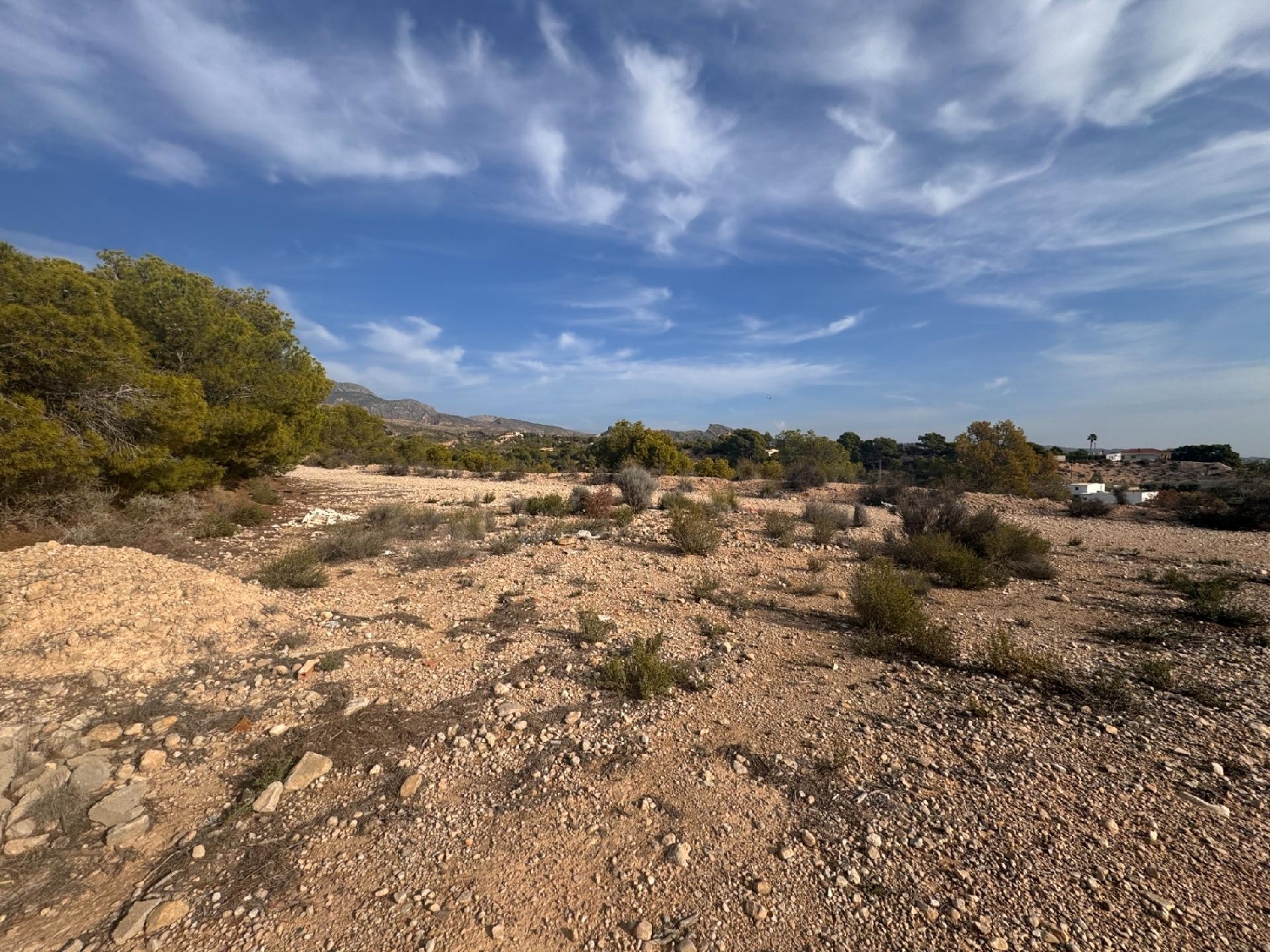  till salu tomt Crevillent Baix Vinalopó 6