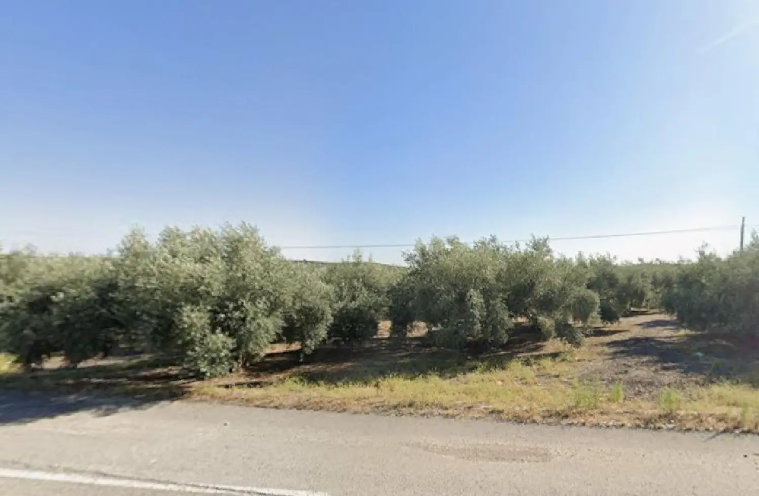  till salu tomt Campo De Aras Subbética 2