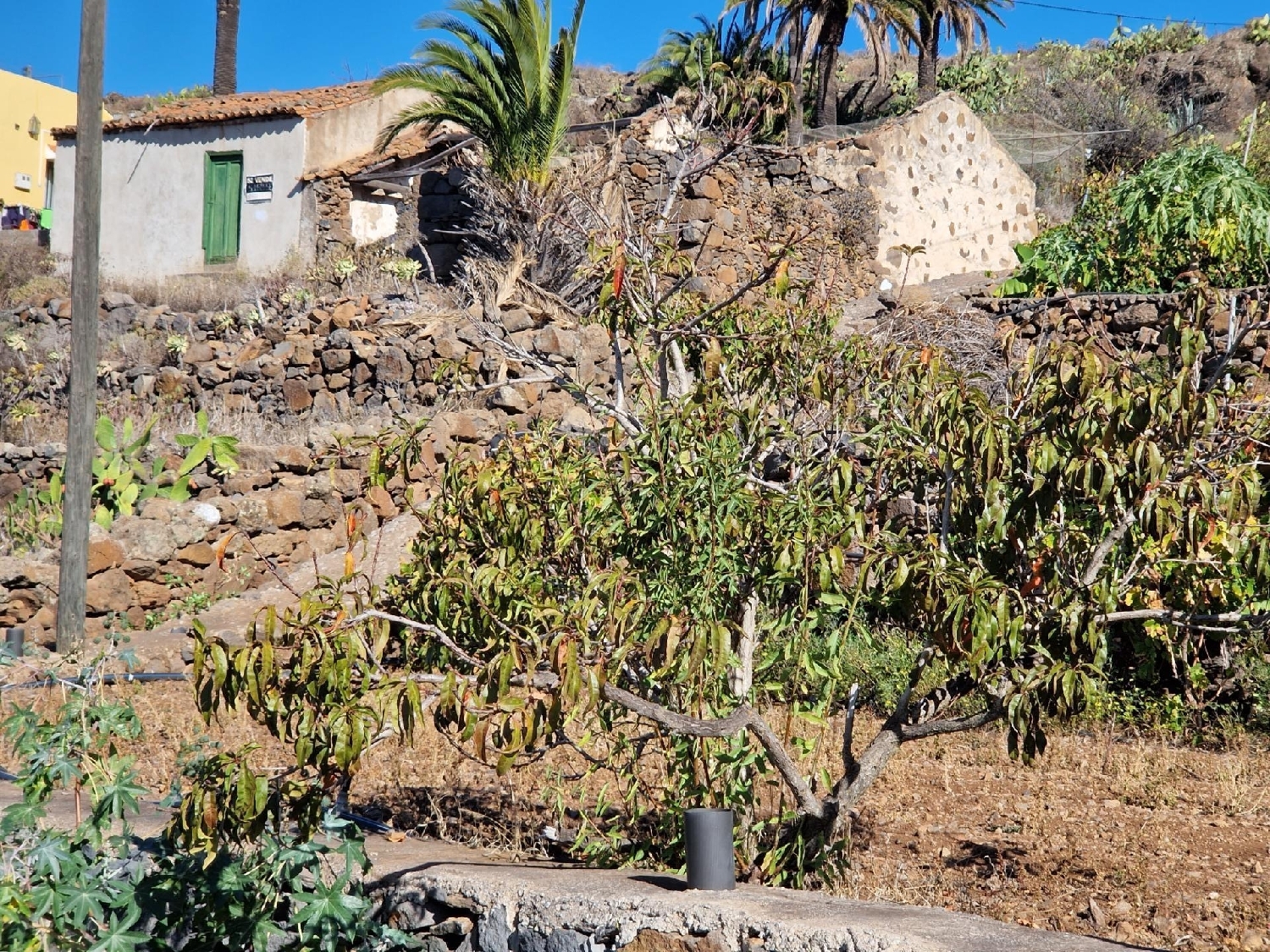  till salu tomt Cruces Gomera (La) 8
