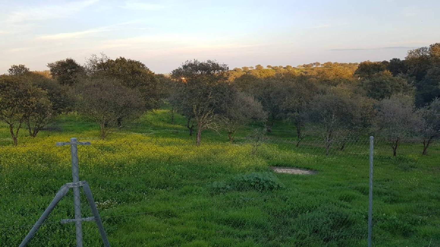  till salu tomt Cuartel De Sancha Brava Badajoz 5