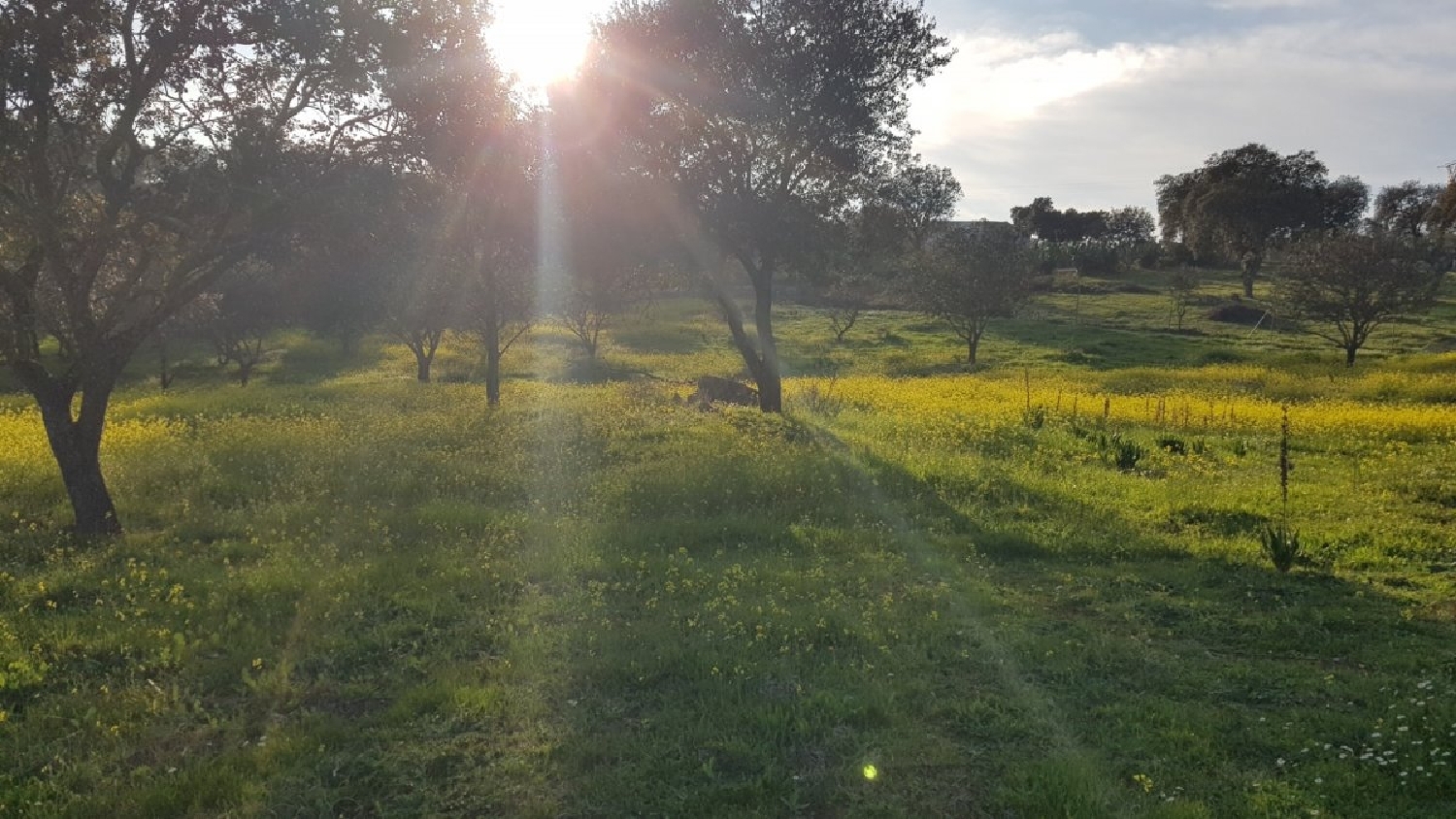 till salu tomt Cuartel De Sancha Brava Badajoz 4