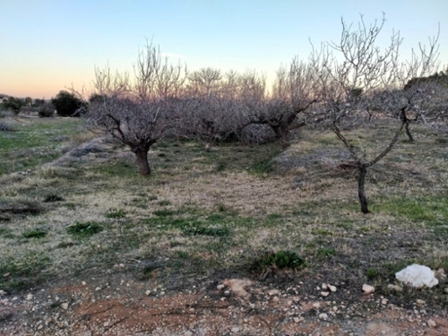Cuesta Blanca De Abajo Campo De Cartagena tomt foto 6239707