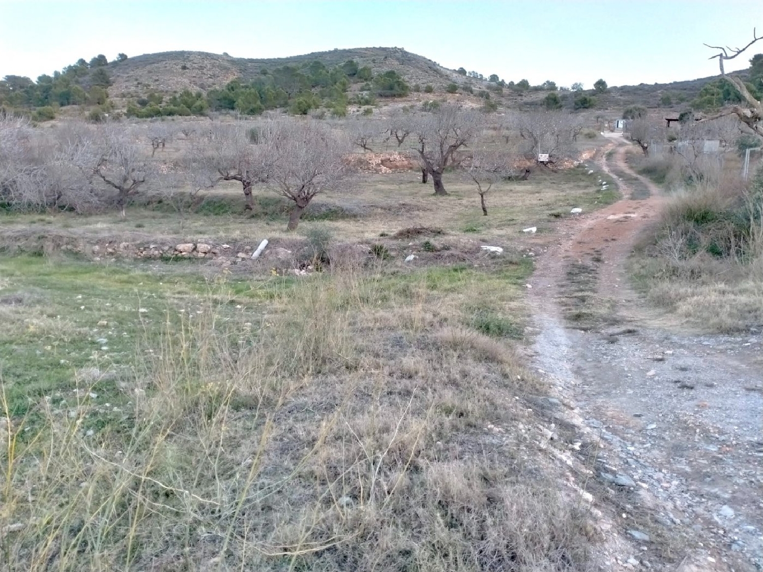  till salu tomt Cuesta Blanca De Abajo Campo De Cartagena 4