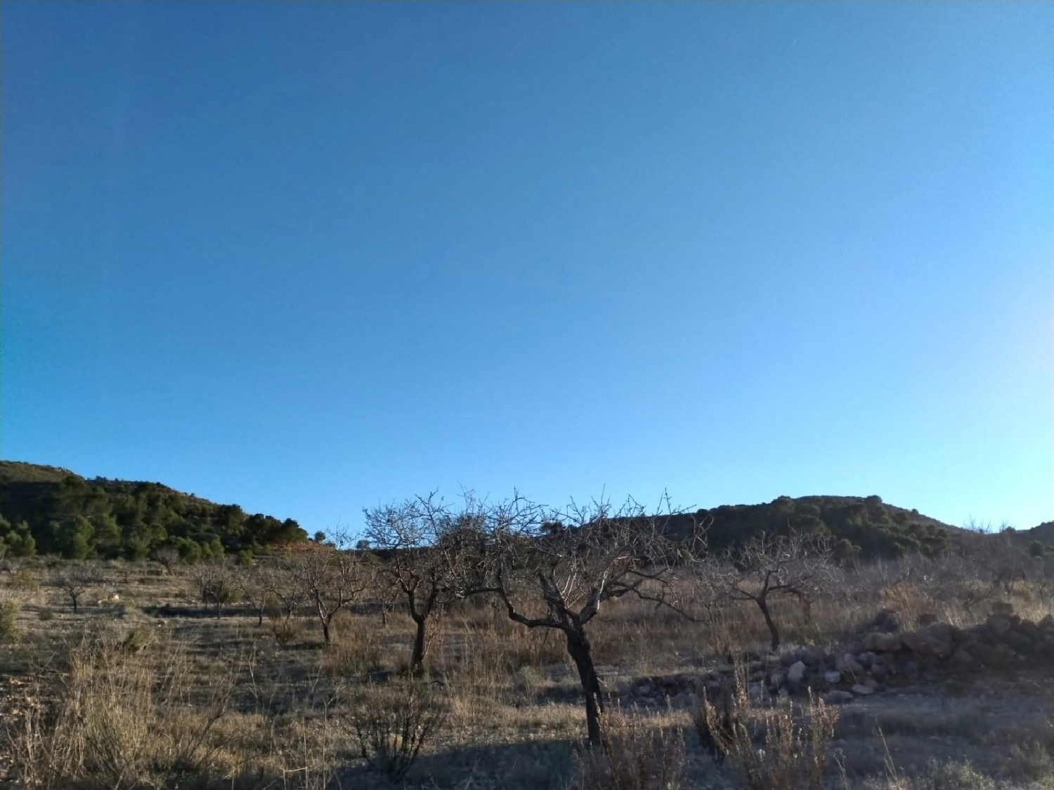  till salu tomt Cuesta Blanca De Abajo Campo De Cartagena 7