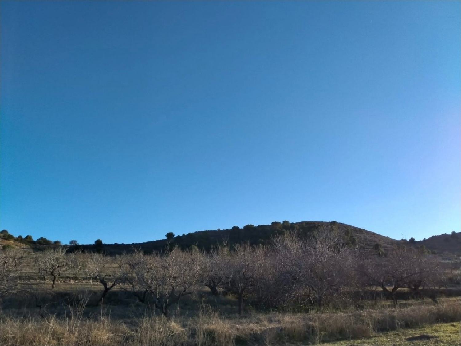  till salu tomt Cuesta Blanca De Abajo Campo De Cartagena 5