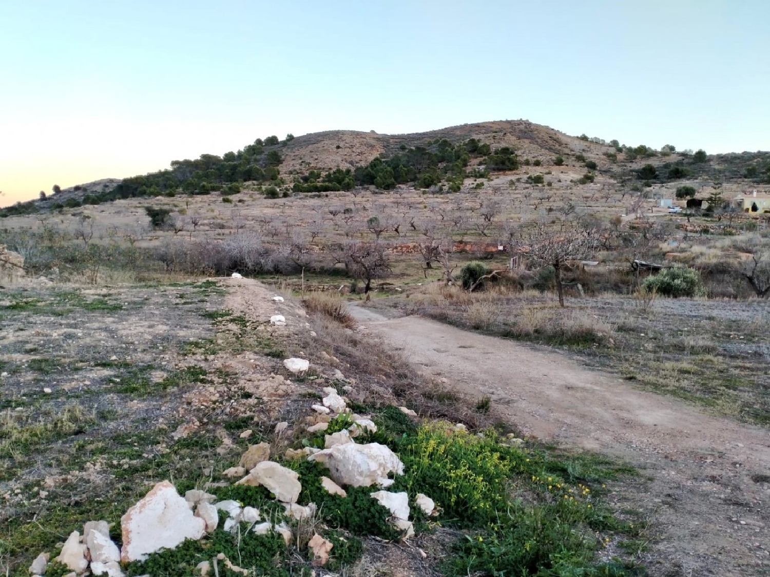 till salu tomt Cuesta Blanca De Abajo Campo De Cartagena 3