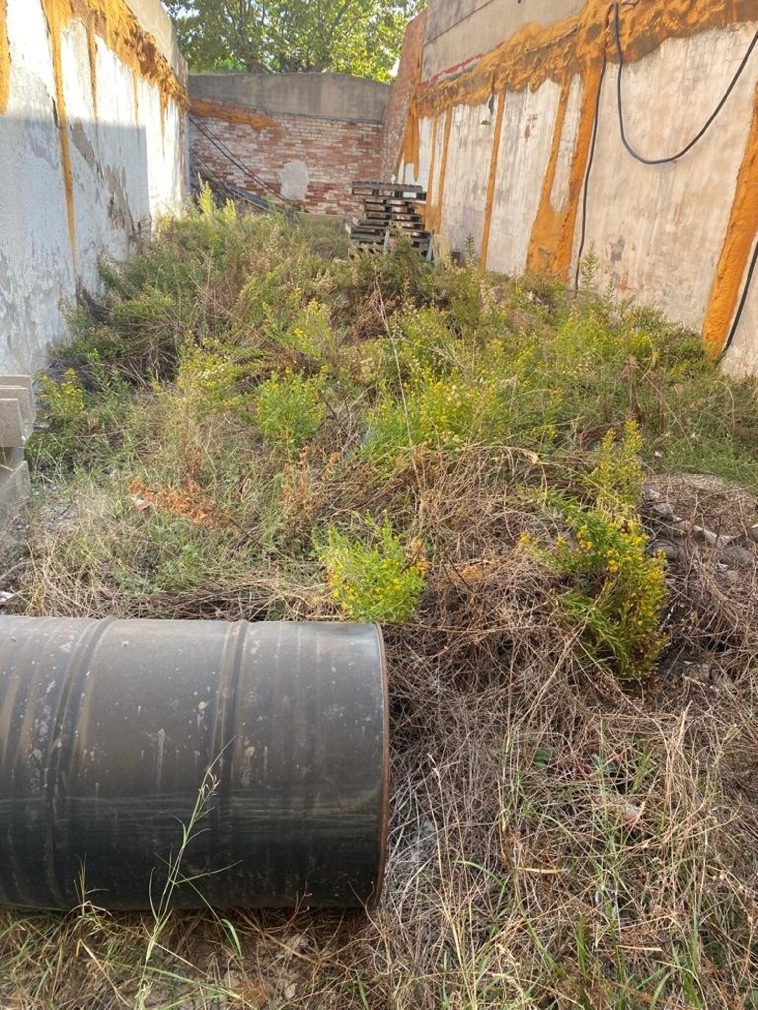  till salu tomt Cuesta Los Pinos Plana Alta 6