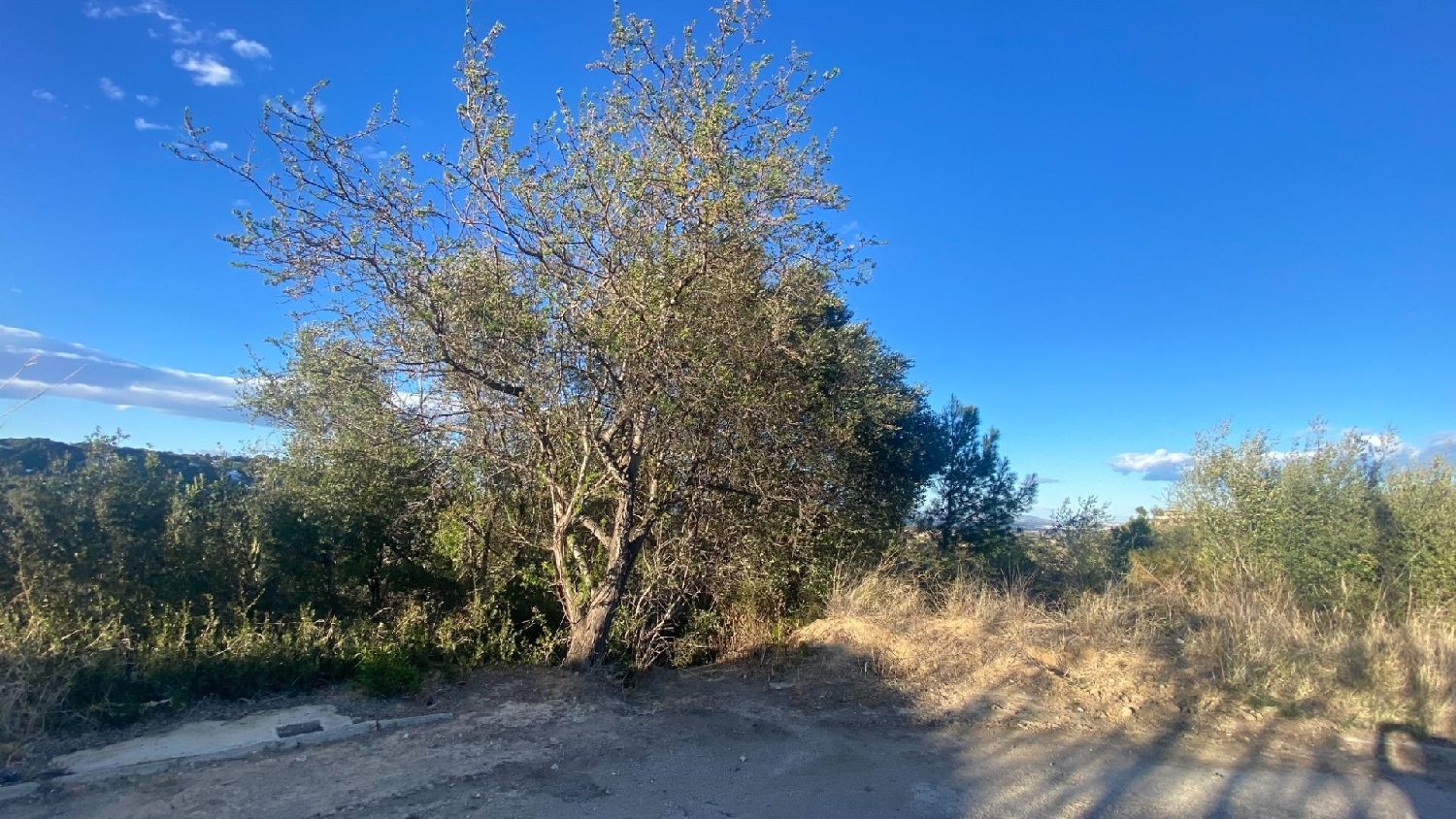 till salu tomt Cumbres De Calicanto Horta Oest 3
