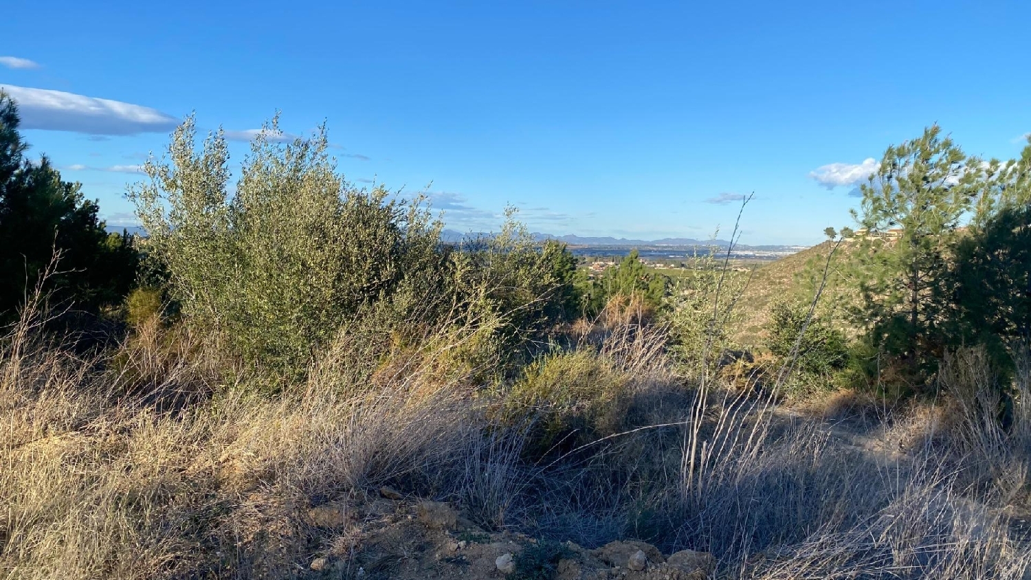 till salu tomt Cumbres De Calicanto Horta Oest 2