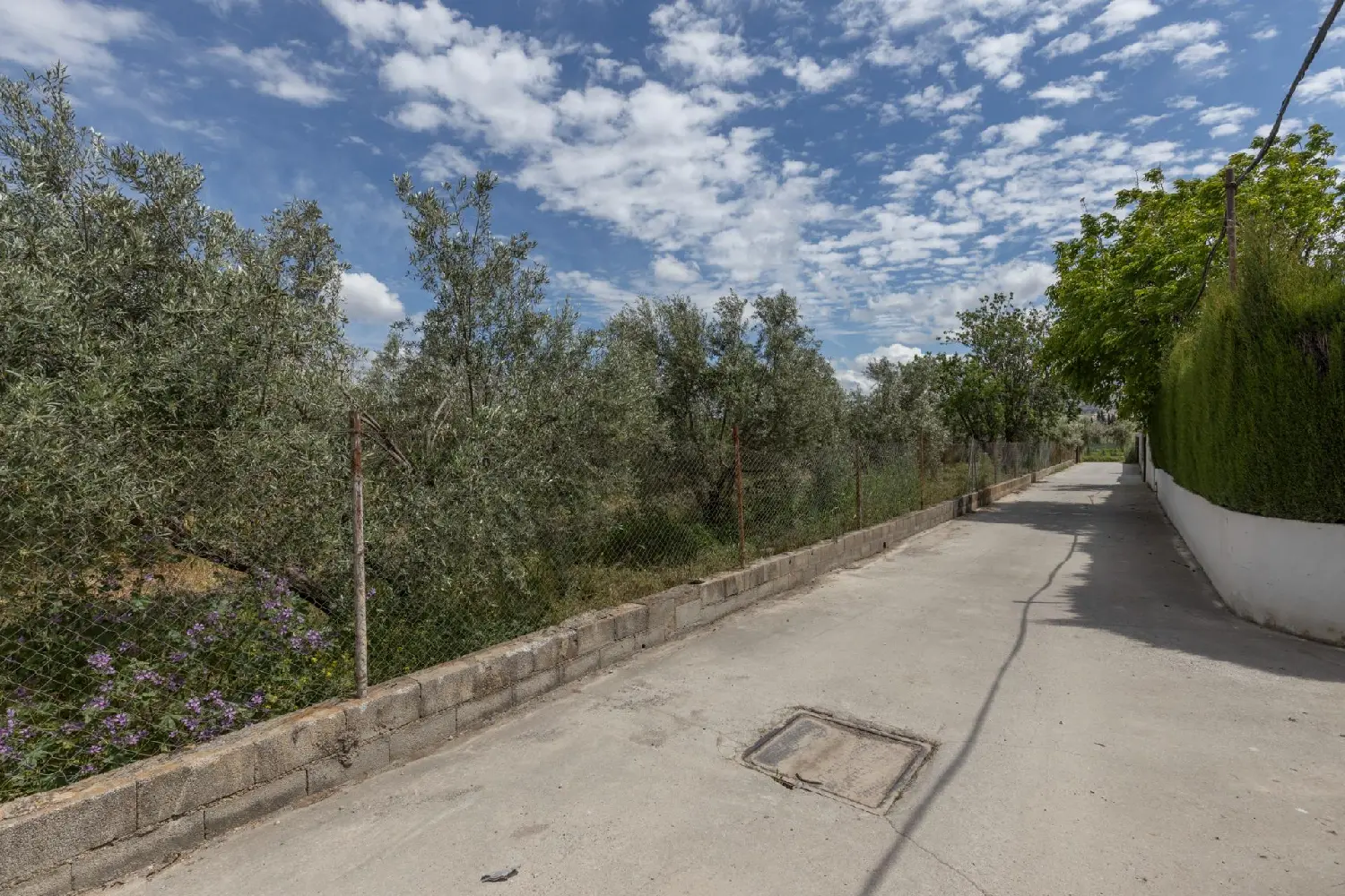 till salu tomt La Zubia Vega De Granada 5