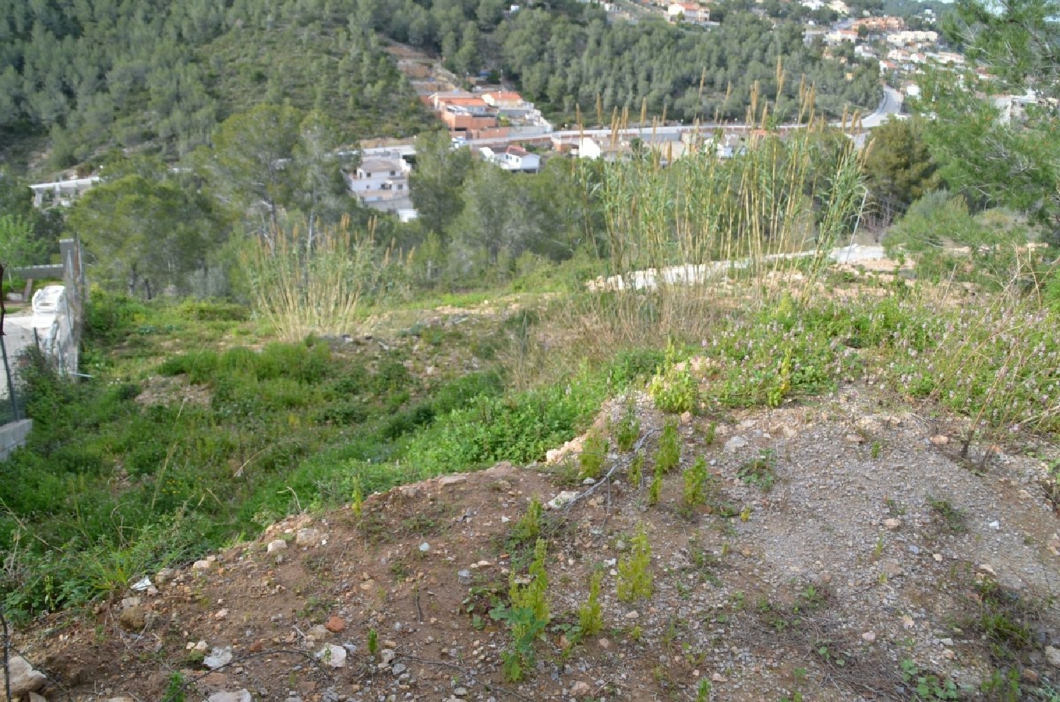  till salu tomt Cunit Baix Penedès 1