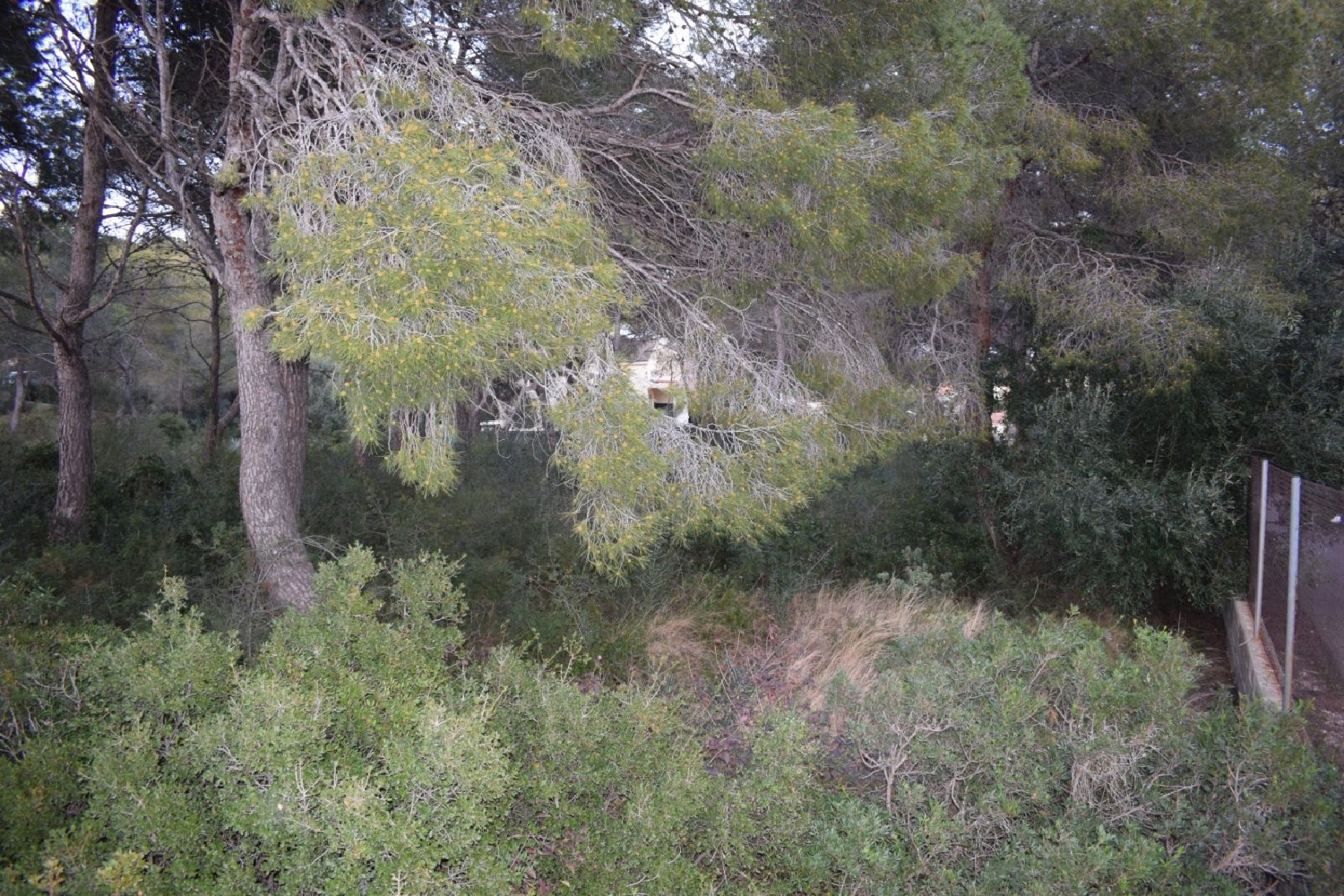  till salu tomt Cunit Baix Penedès 1