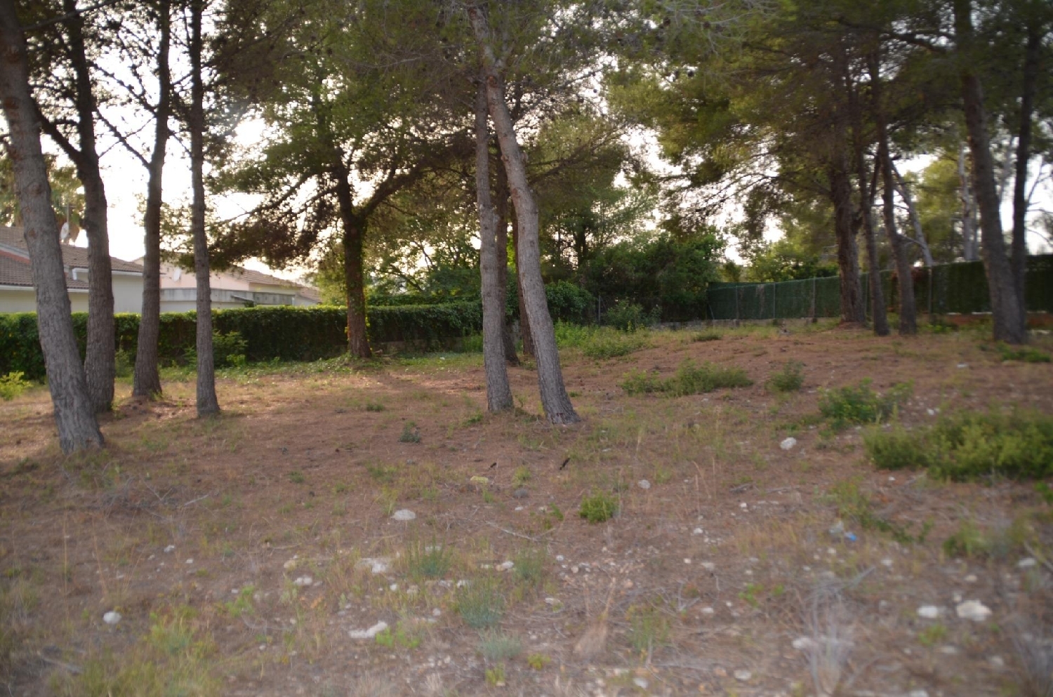  till salu tomt Cunit Baix Penedès 4