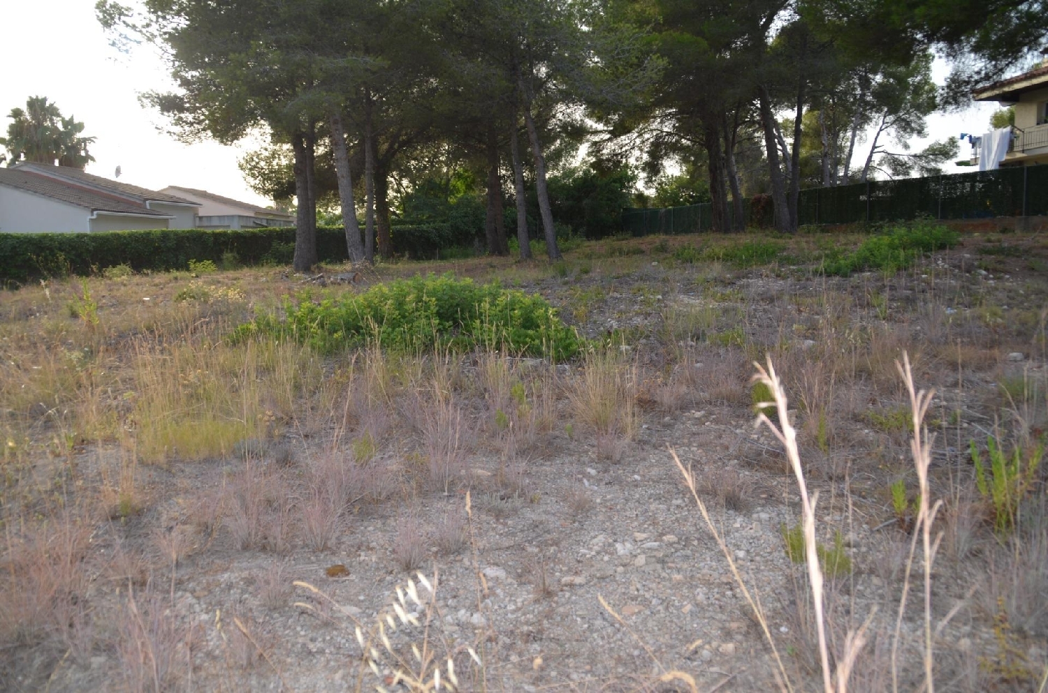 till salu tomt Cunit Baix Penedès 2