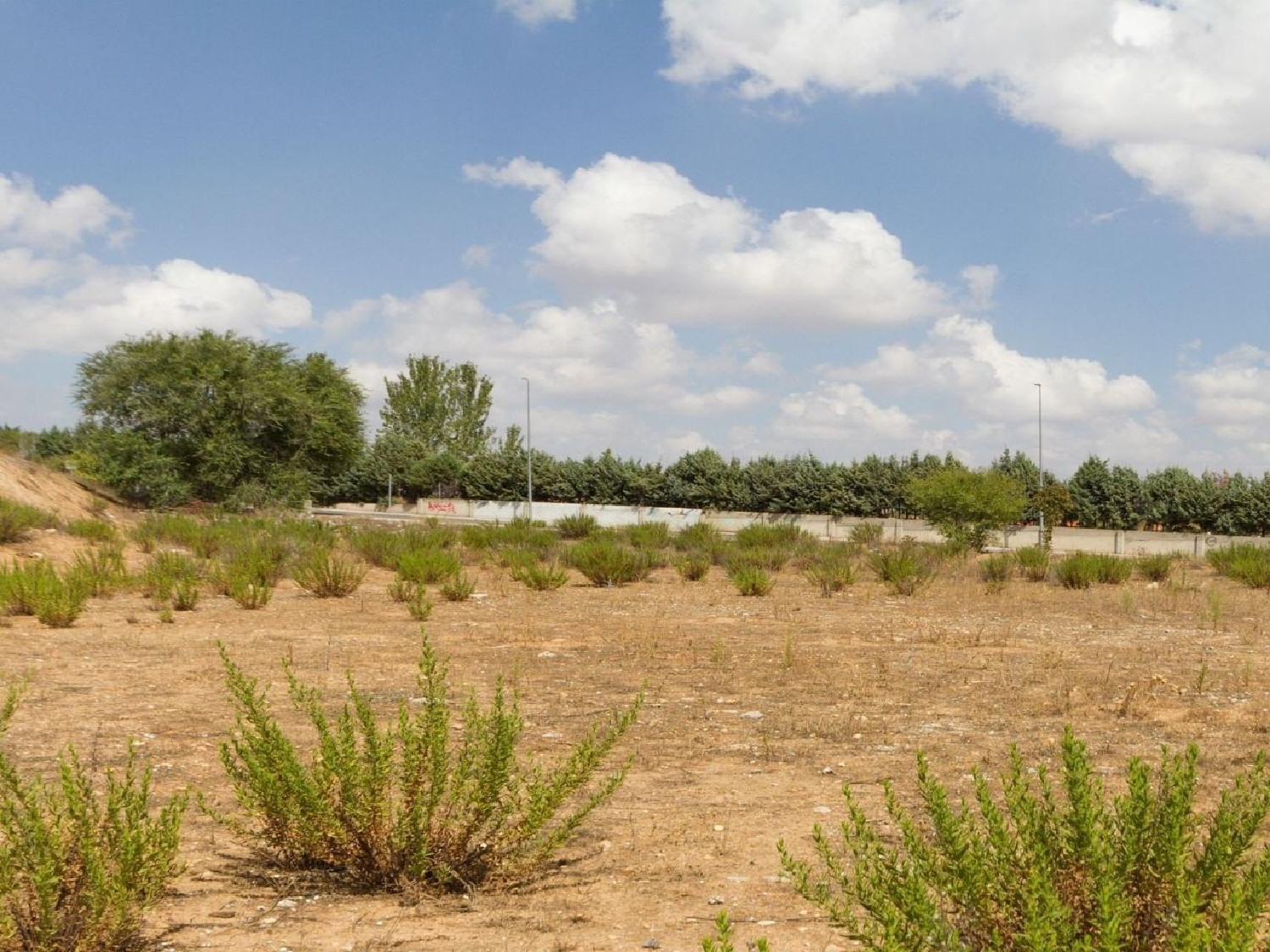  till salu tomt Daganzo De Arriba Cuenca Del Medio Jarama 7