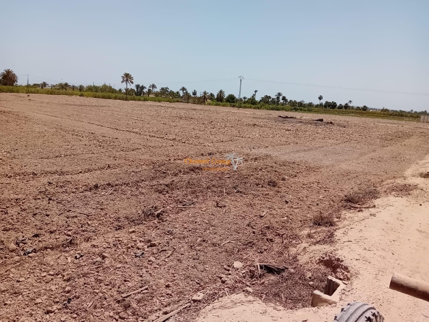  te koop perceel La Foia Baix Vinalopó 1