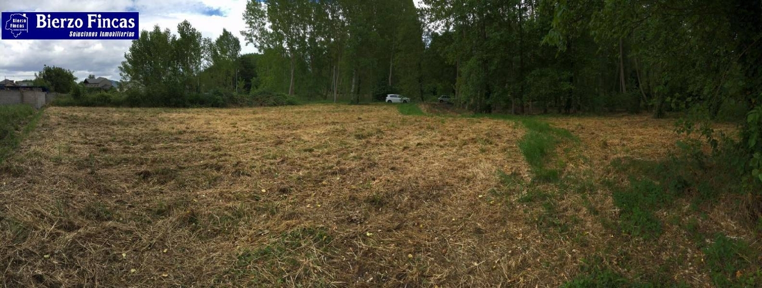 for sale plot Dehesas Bierzo (El) 3