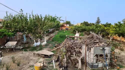 Deltebre Baix Ebre tomt foto 6186748