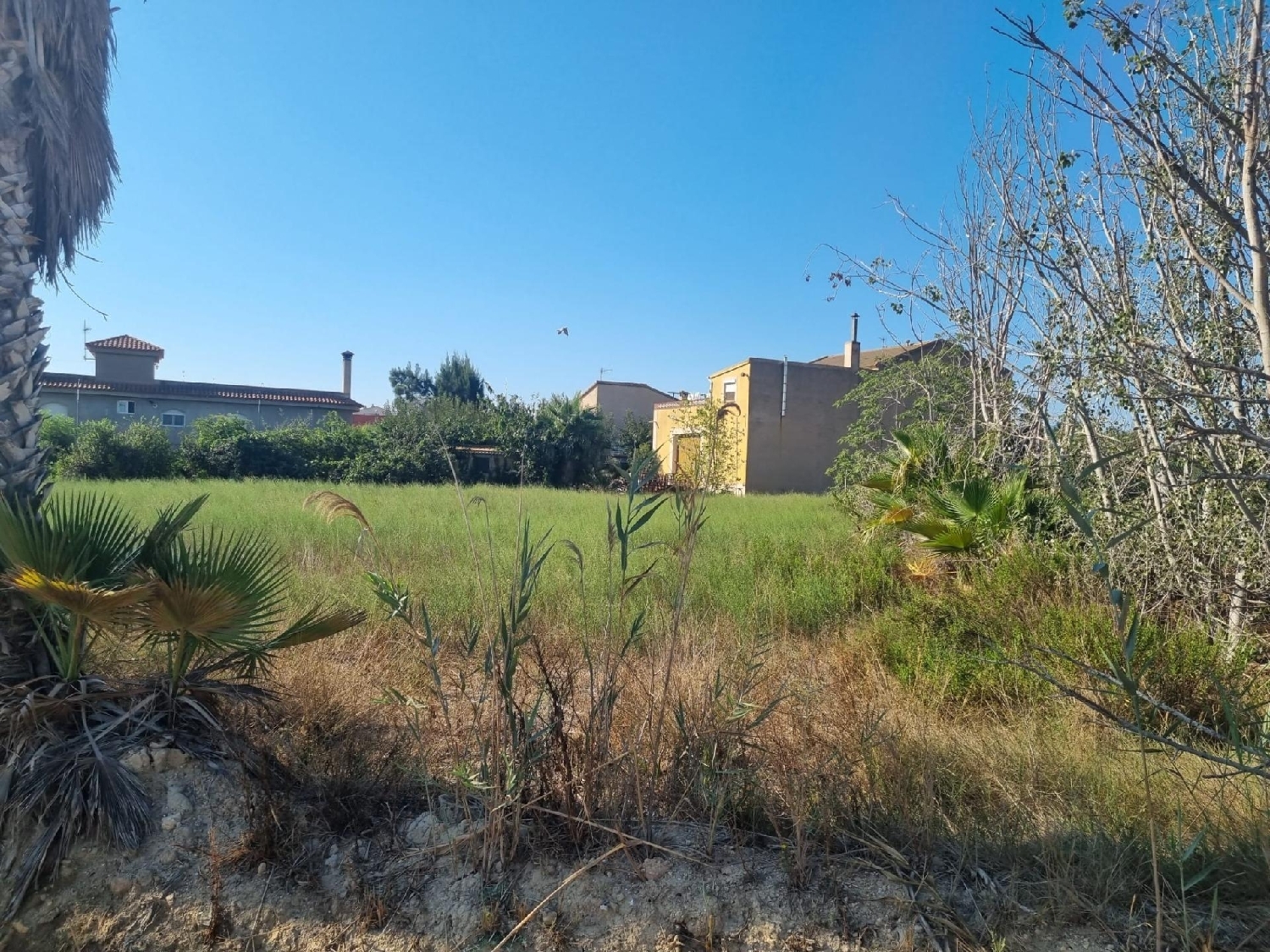  till salu tomt Deltebre Baix Ebre 5