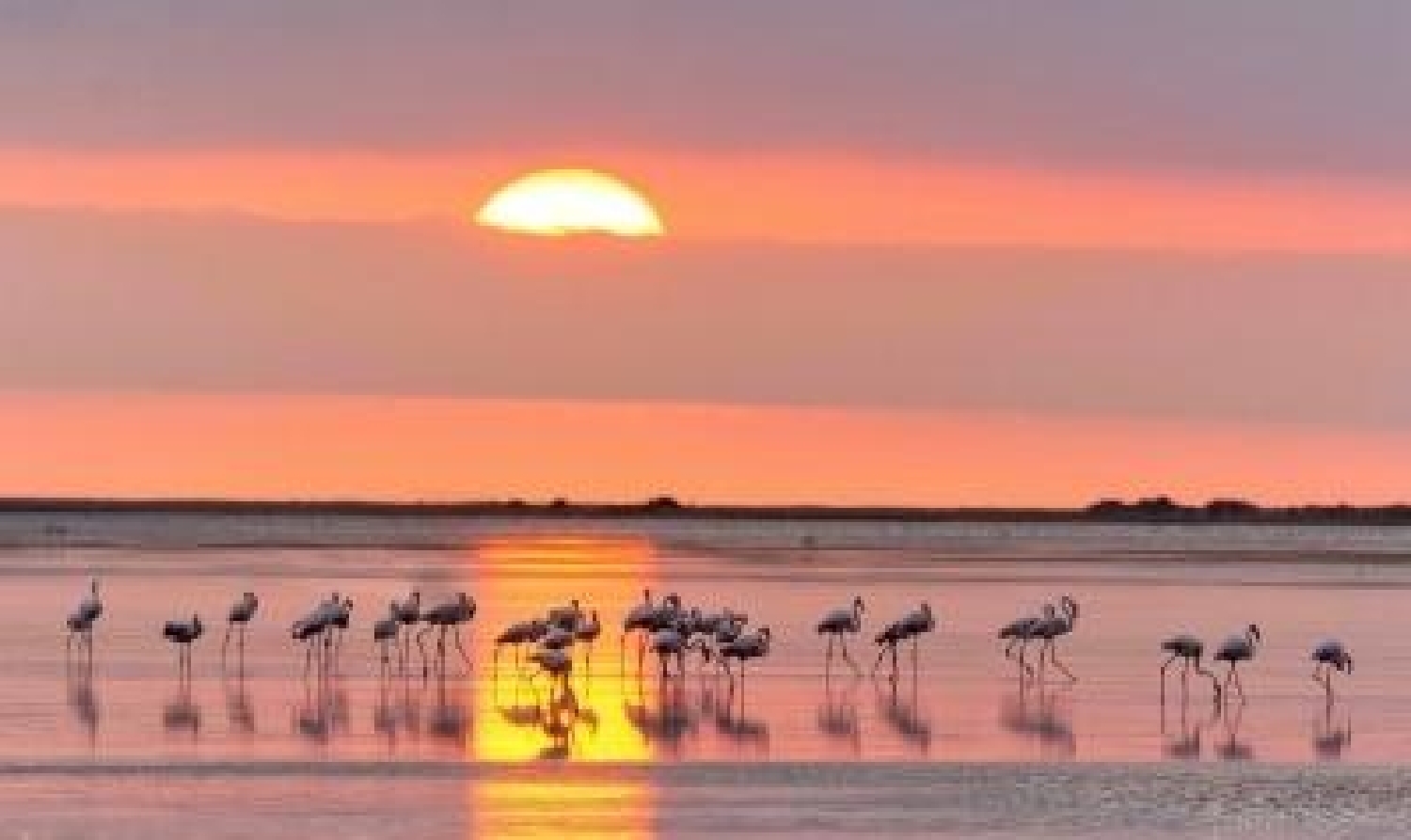  till salu tomt Deltebre Baix Ebre 7