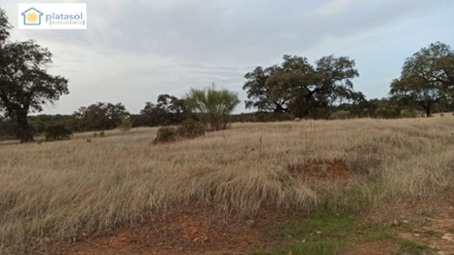 El Alisar Sierra Norte tomt foto 6222182