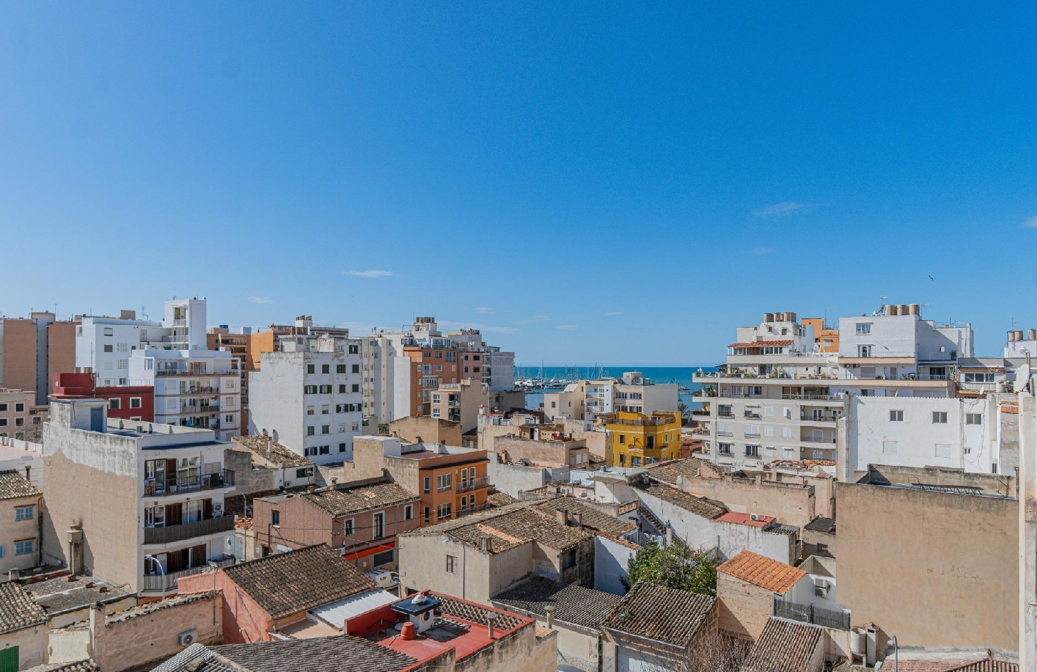  till salu tomt El Arenal Palma 4