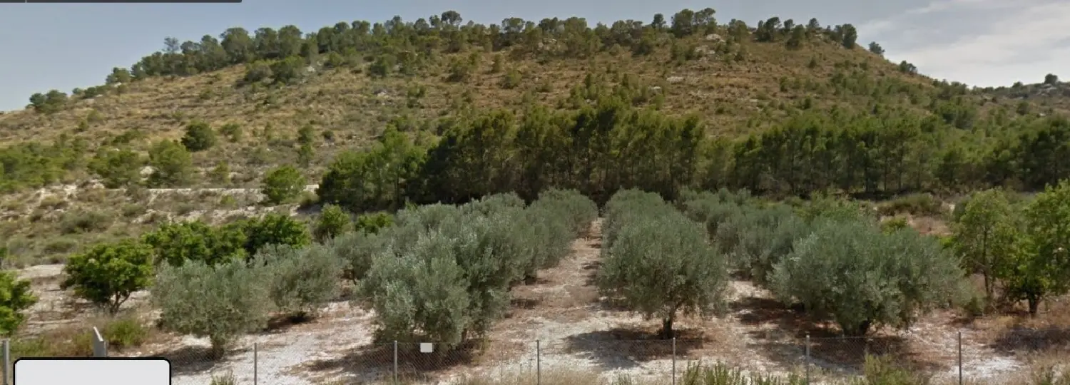 till salu tomt El Arco Valle De Ricote 2