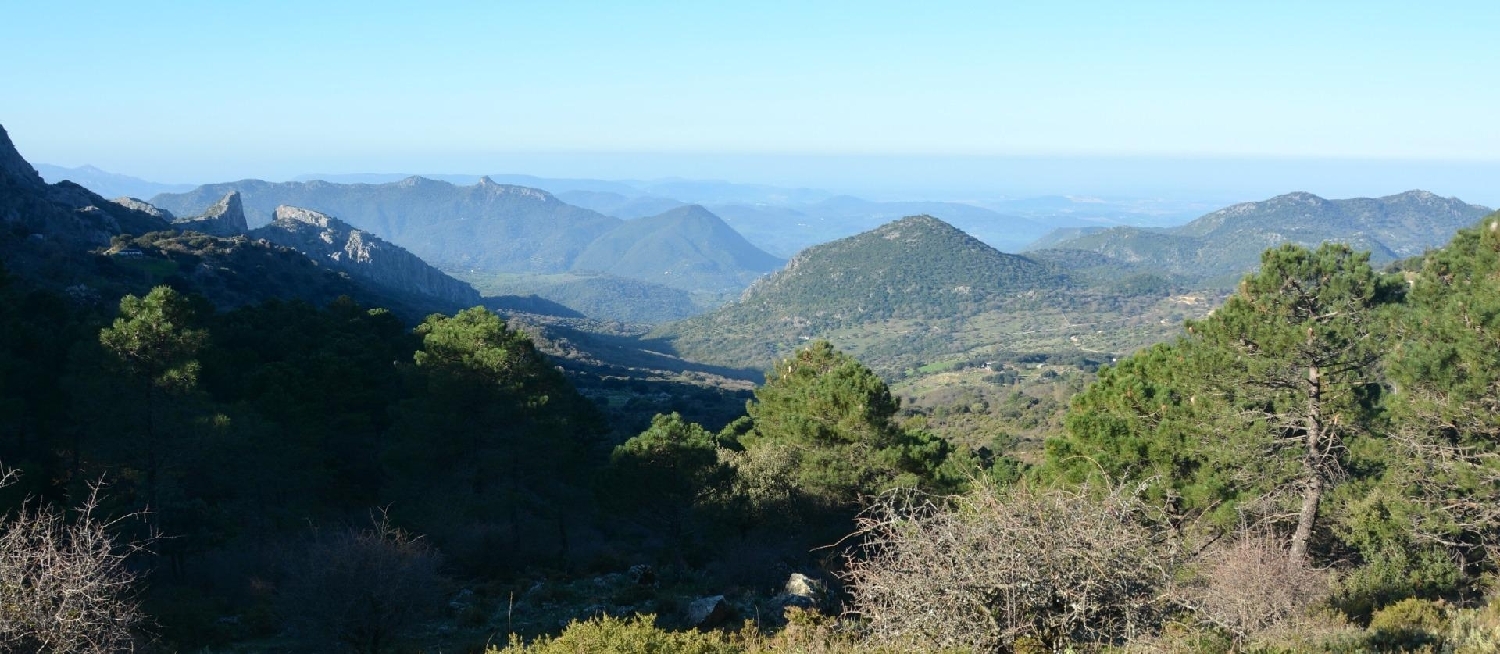  till salu tomt El Bosque Sierra De Cádiz 1