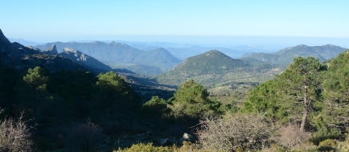El Bosque Sierra De Cádiz tomt foto 6252582