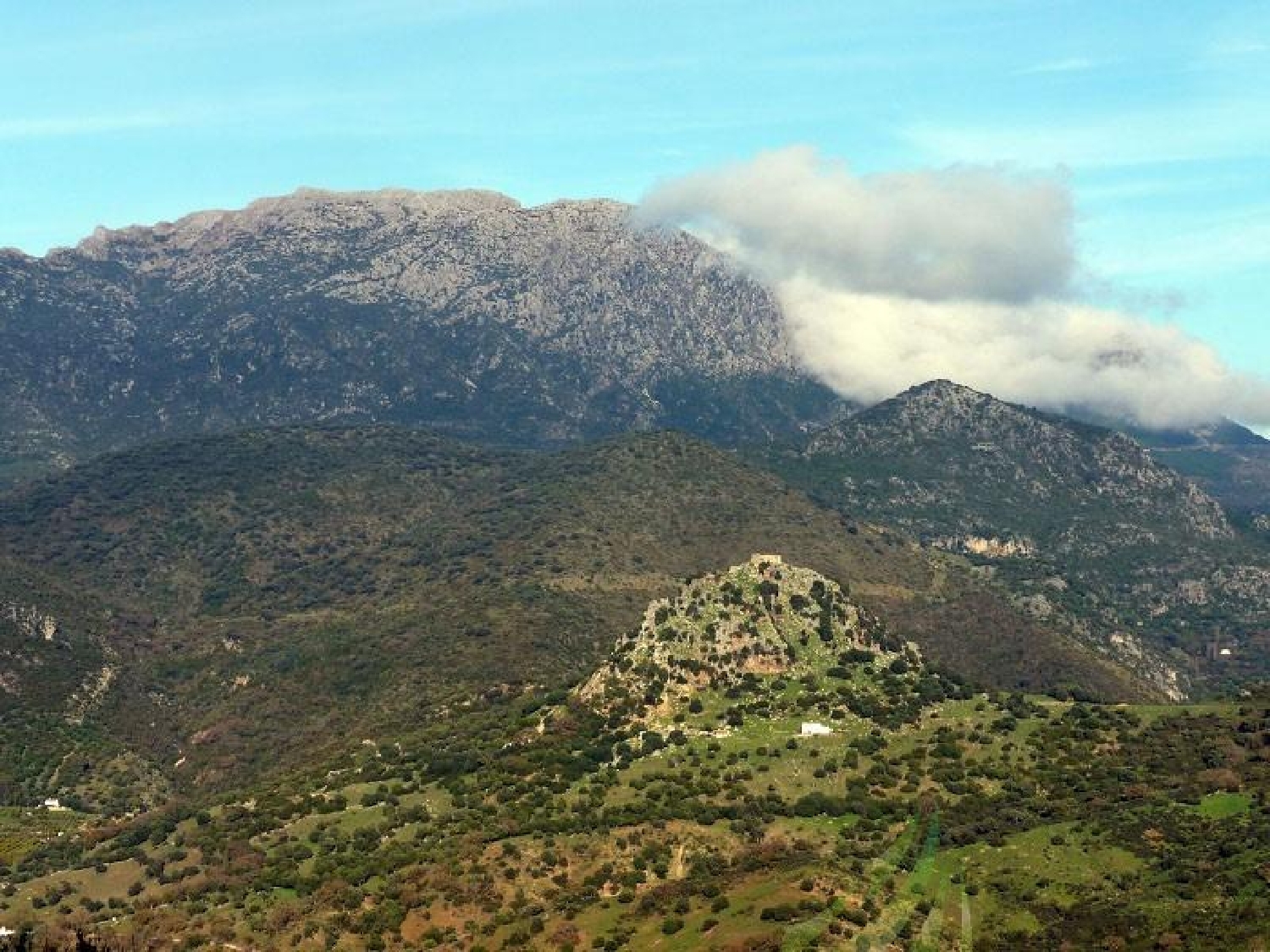 till salu tomt El Bosque Sierra De Cádiz 2