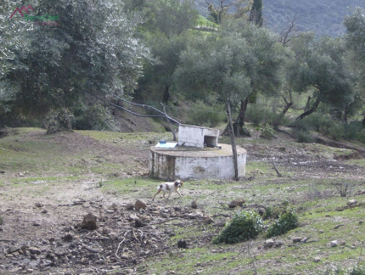 till salu tomt El Bosque Sierra De Cádiz 2