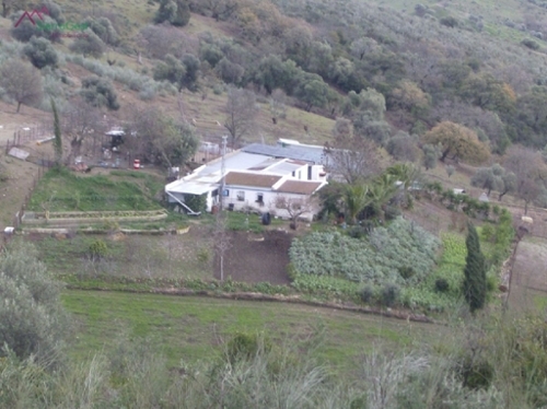El Bosque Sierra De Cádiz tomt foto 6252599